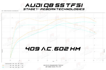 Audi Q8 55 TFSI (3.0T) 340 л.с. 500 Нм