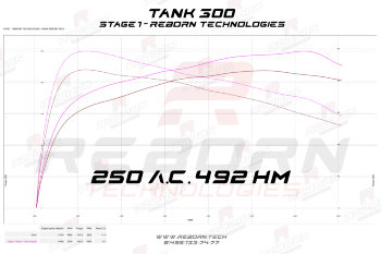 Tank 300 2.0T 220 л.с. 387 Нм